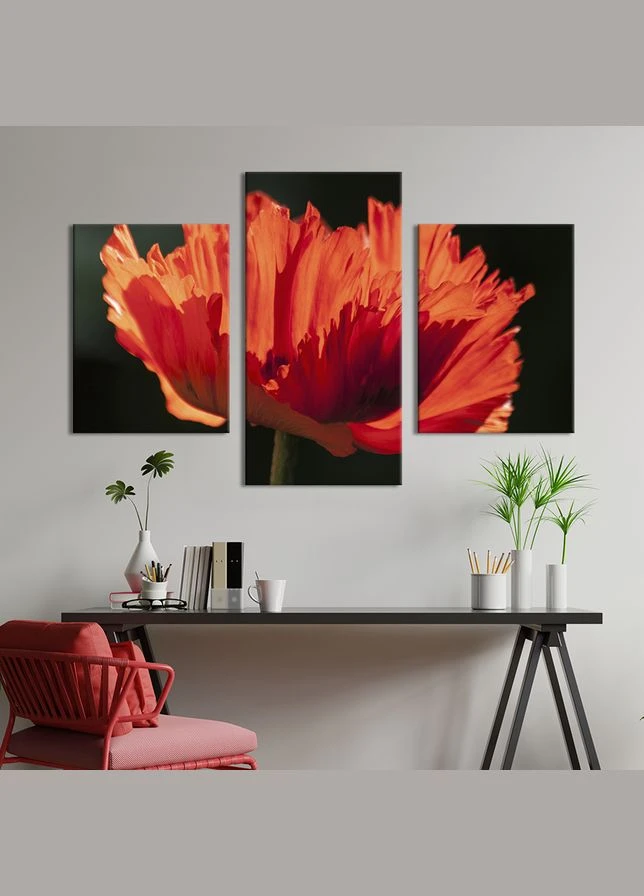 Картина из трех панелей триптих Ажурный цветок мака 66x40 см (969-32) KilArt (379985028)