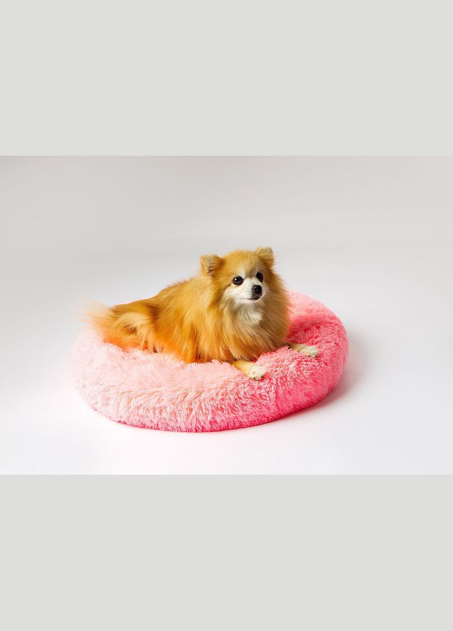 Баранка для животных 60 см 1-7 кг No Brand (341303219)