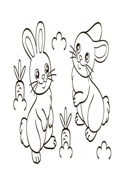 Детская водная раскраска: Дикие животные 734008, 8 страниц Ranok Creative (373407430)