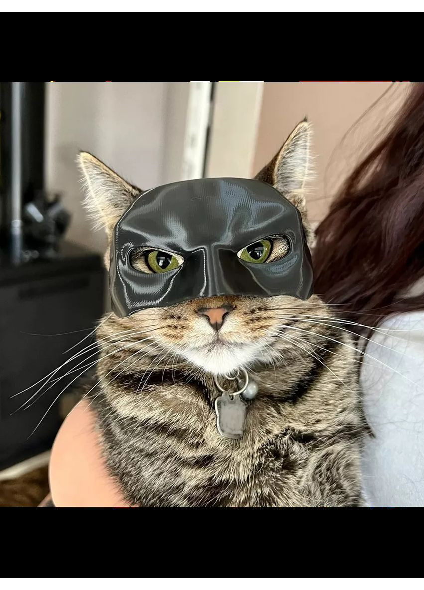 Маска бетмена для кота No Brand (362044246)