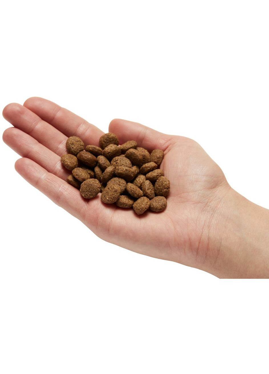 Сухий корм для дорослих собак Insect protein з протеїном комах 1 кг (4025877565267) Mera (364787538)