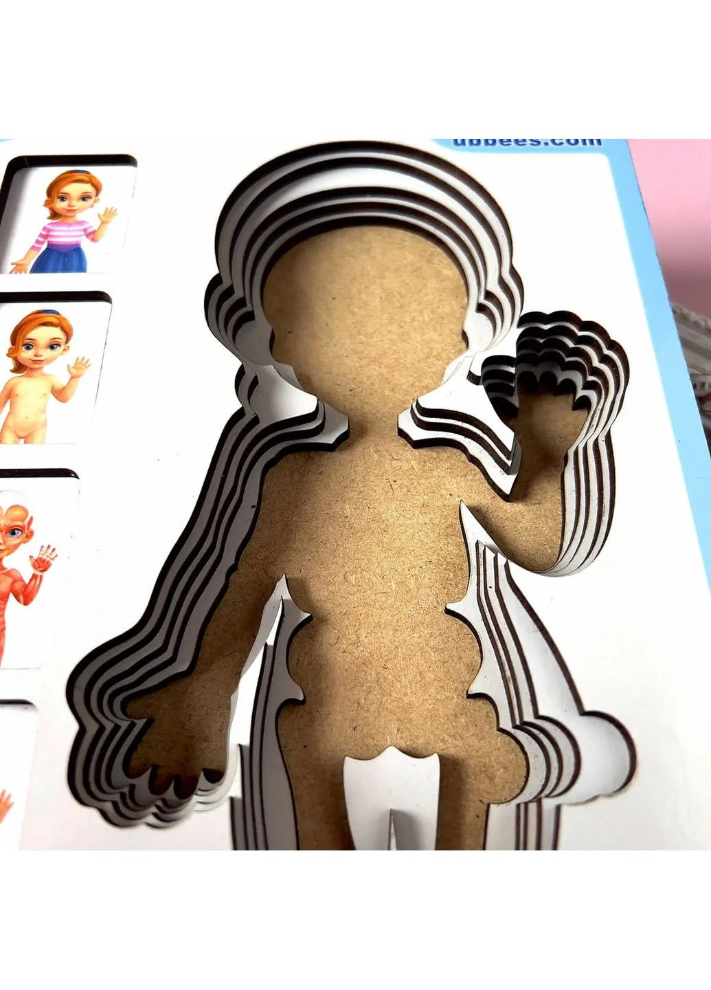 Многослойный Сортер-пазл "Анатомия человека - девочка" ПСФ 025 Ubumblebees (303133465)