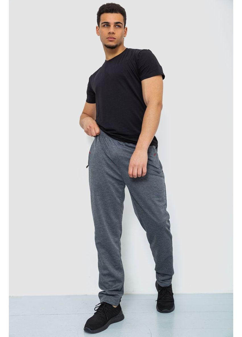 Серые демисезонные брюки Ager