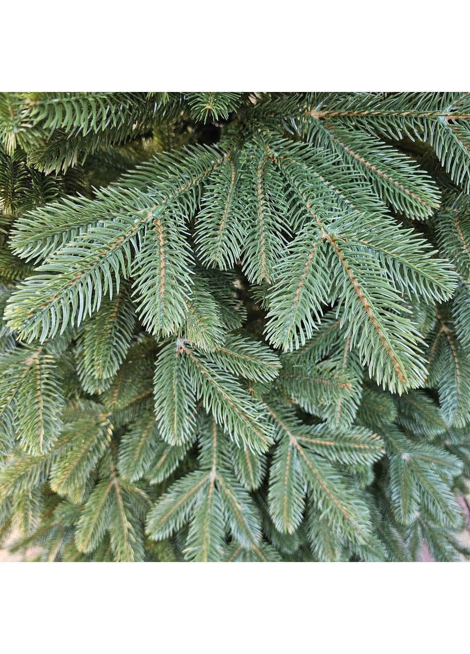 Елка искусственная литая SGX Umbrella Рояль 4.00 м. Самораскладывающийся механизм на "КРАБАХ". Зеленая Yalynkar (366964575)