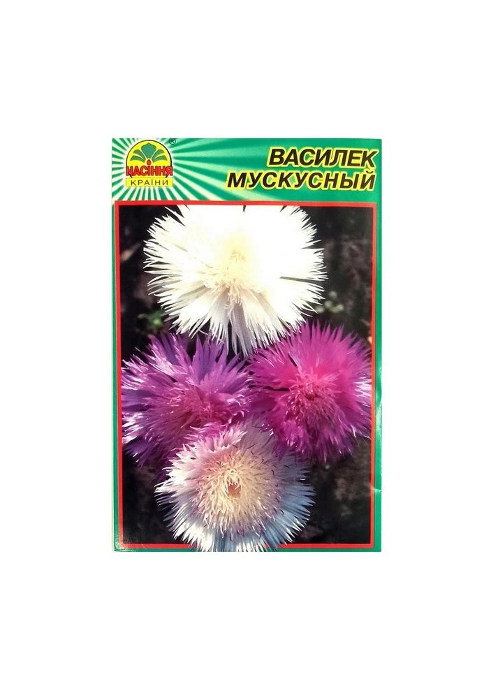 Семена василька мускусная 0,5 г ( ) Насіння країни (347317419)