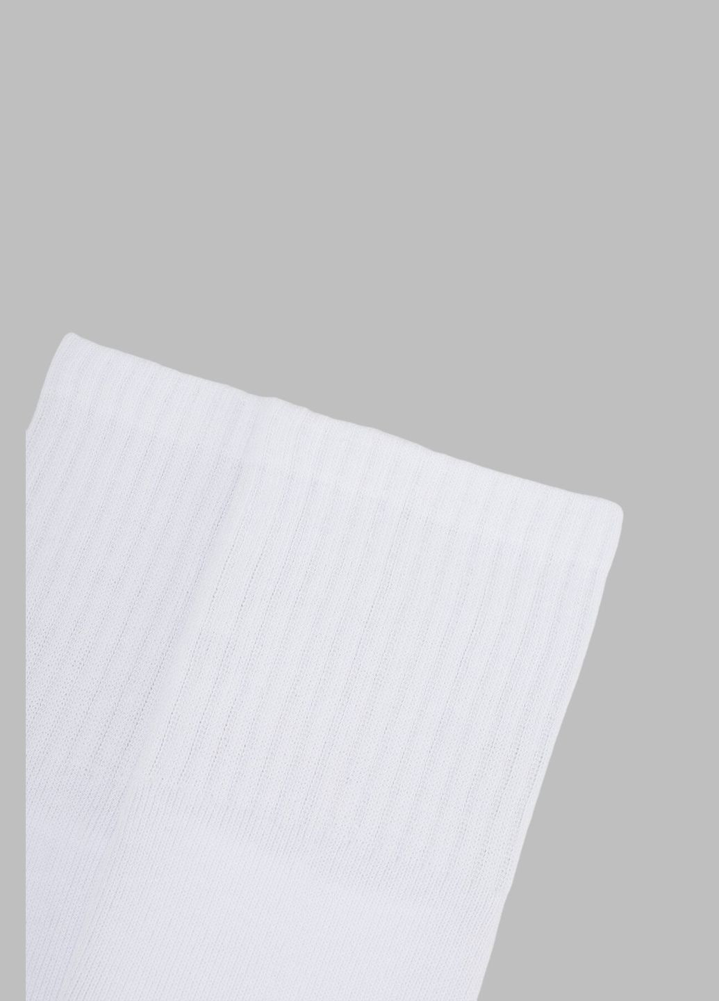 Білі шкарпетки для хлопчика класичні 20-22 (4820203339341a) shop (4820203339341) Premier Socks всесезон (301641067)