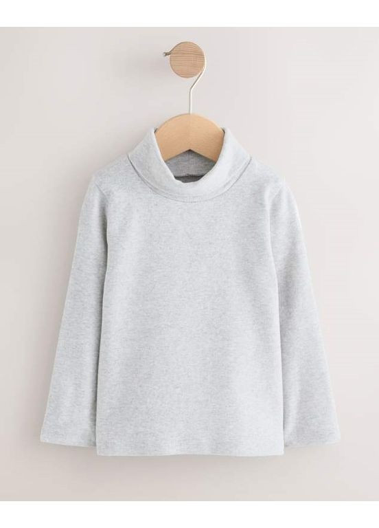 Разноцветный демисезонный лонгслив Next Trend