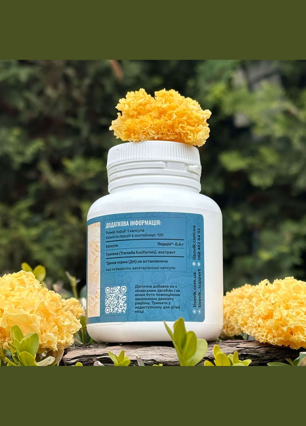 Тремелла, экстракт 10:1, капсулы 120 шт по 0.4 г Лісовик (334292996)