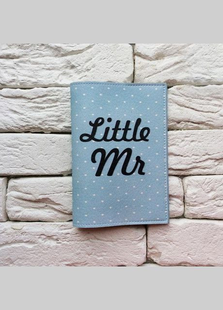 Обкладинка для паспорта Little Mr (блакитний) No Brand (301083525)