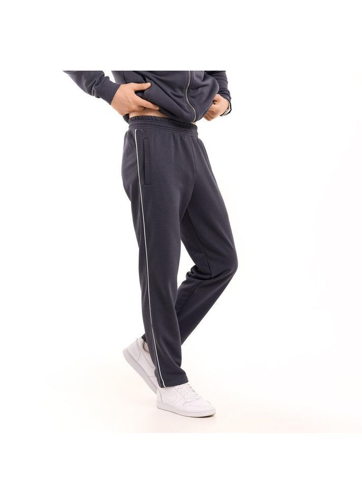 Чоловічий демісезонний спортивний костюм тринитка темно-сірий Freedom (366031246)