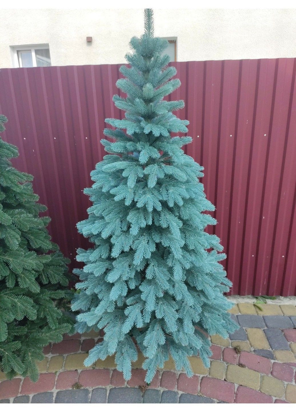 Литая елка Элитная 2,10м. Голубая елка искусственная литая с металлической разборной подставкой Xatynka (363057932)