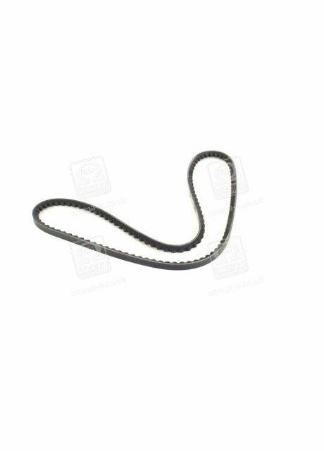 Ремень клиновый (выр-во ) Dayco (366162274)