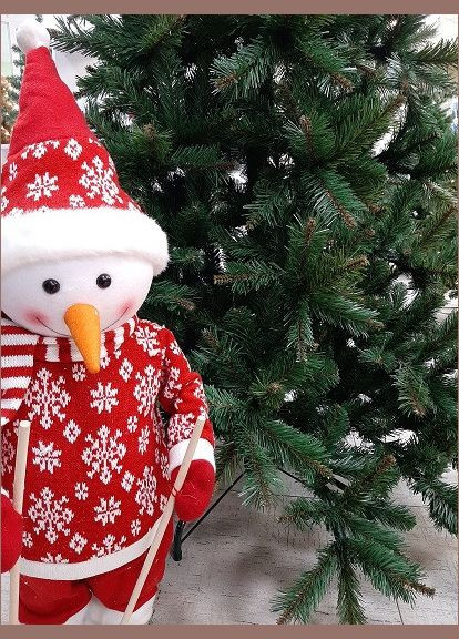 Елка 155 см, Edulis зеленая Triumph Tree (329407082)