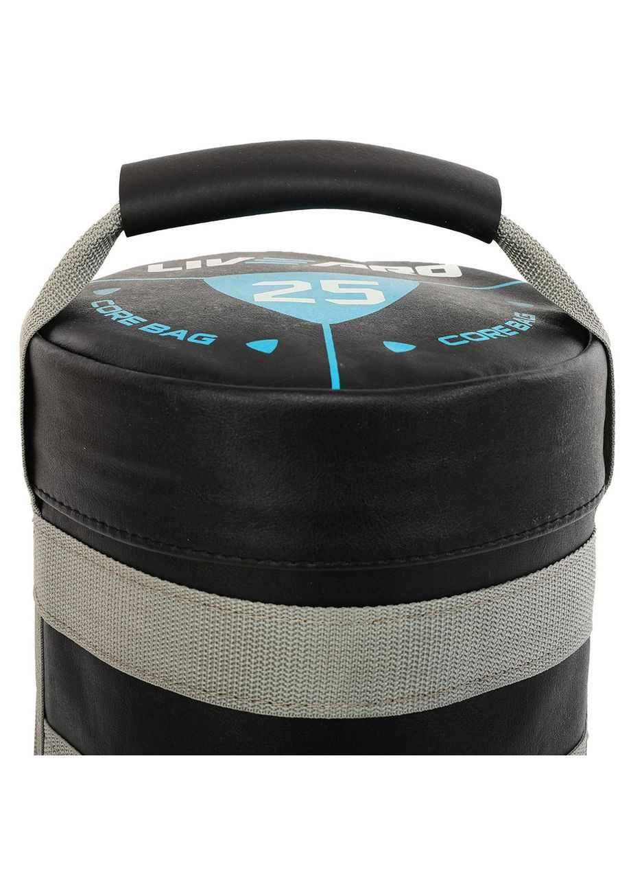 Мешок утяжелитель для функционального тренинга Power Bag LP8120-25 25кг (PVC, вес 25кг, черный-серый) LiveUp (361440139)