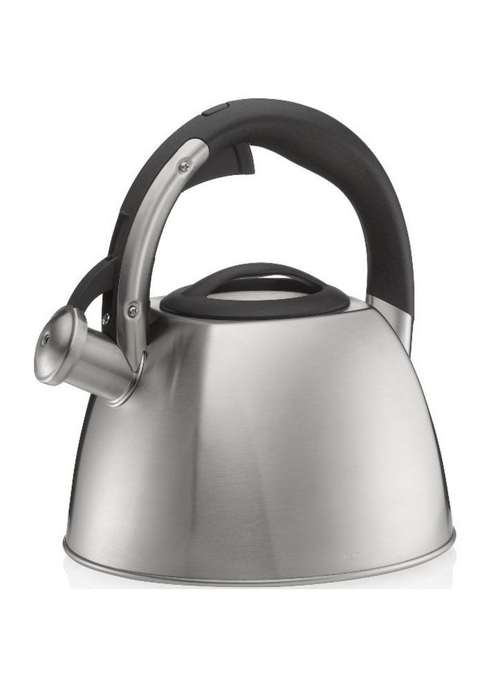 Чайник Vitus, металлик, 2,4 л 12078 Kela (317305901)