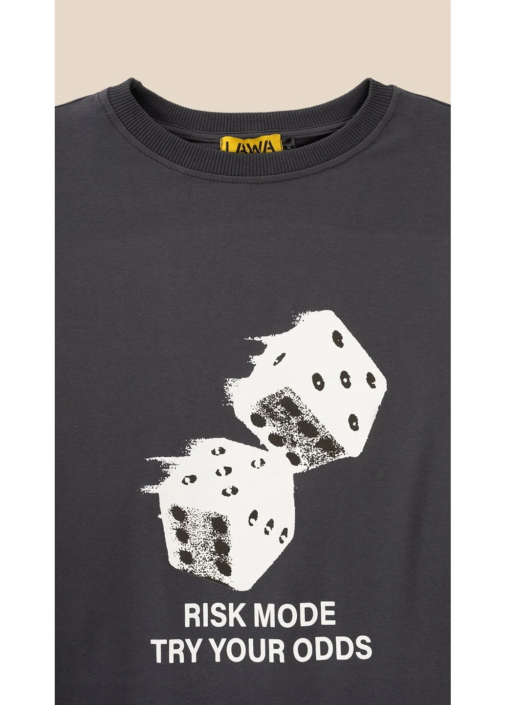 Лонгслів з принтом чоловічий P-MT02310 shop (2888000021519) shop (2888000021519) LAWA графітовий