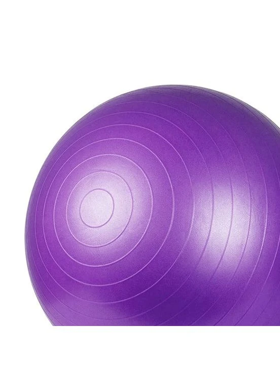 М'яч для фітнесу (фітбол) PS-4013 Ø75 cm PRO Gymball Purple Power System (345715244)