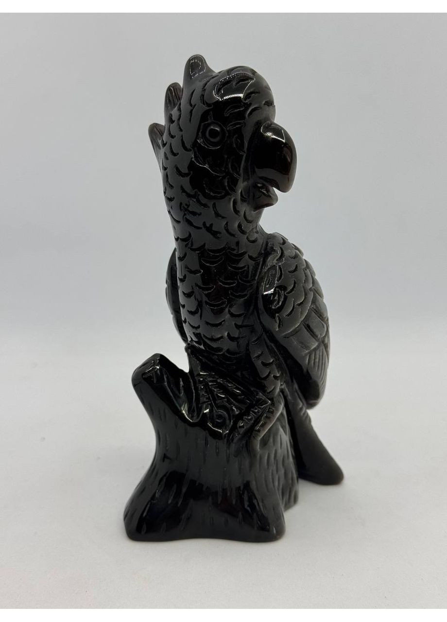 Папуга з обсидіану 130*70*70 мм Чорний No Brand (350633841)