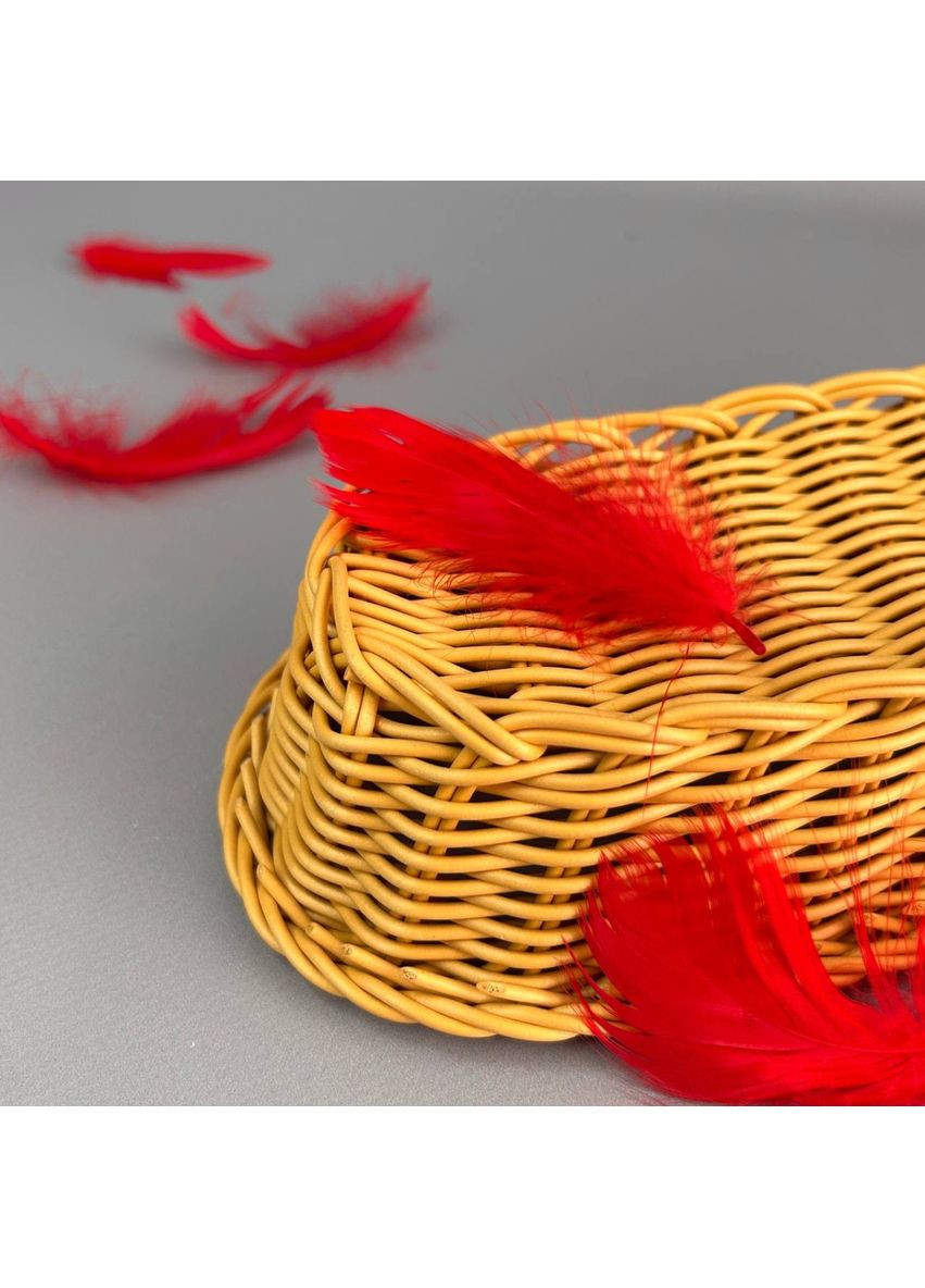 Пір'я гусячі для рукоділля 9-13 см, ∼95шт - червоний Plus-plus (354795064)