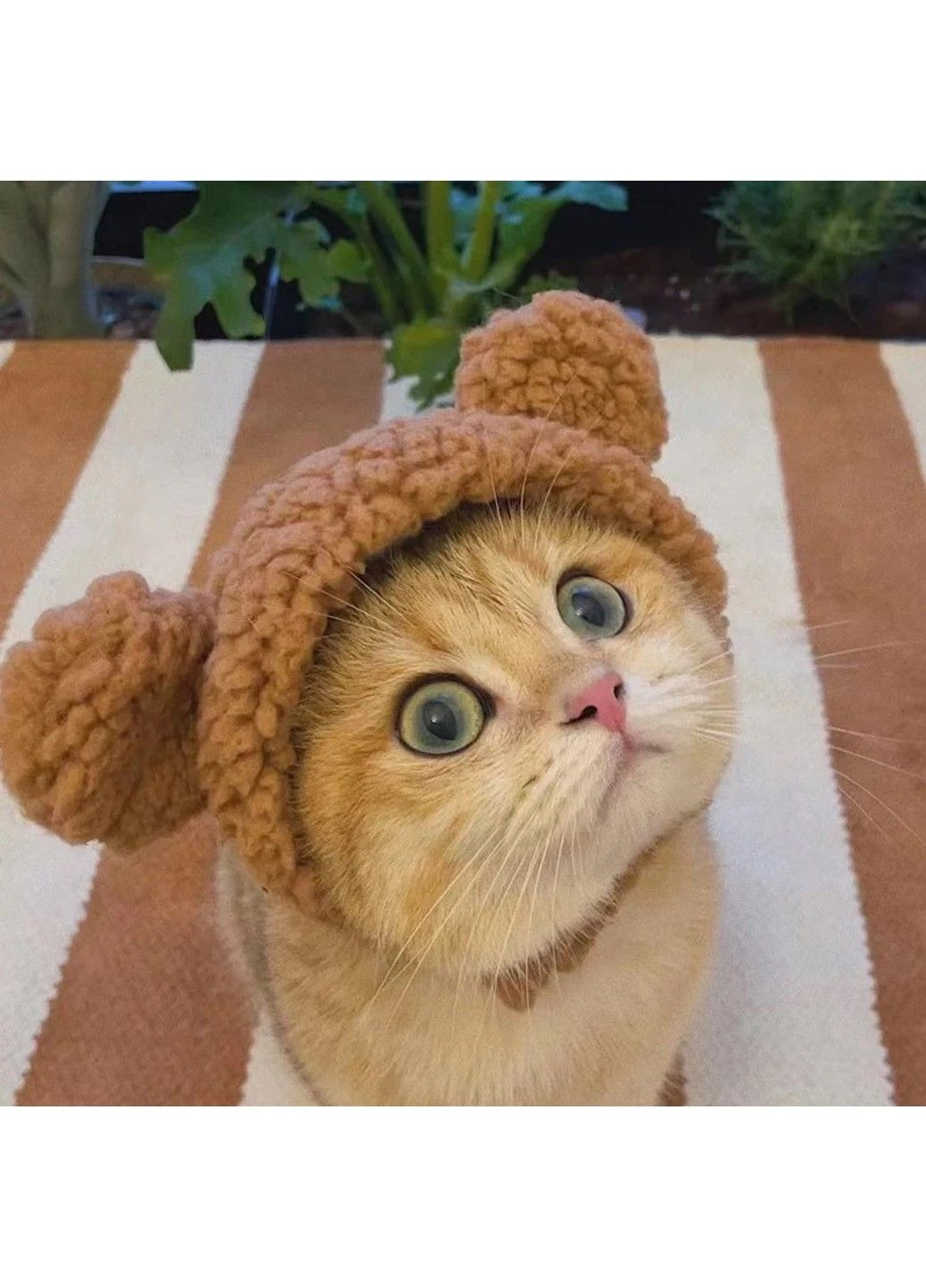 Шапка з вушками для котів і собак Brown Pet Weight 2-4.5 kg Xtep (319664403)