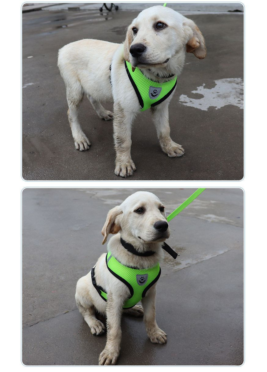 Шлейка для котов и кошек с поводком Pet Style "Сетка" Темнорозовая XL No Brand - (323233520)