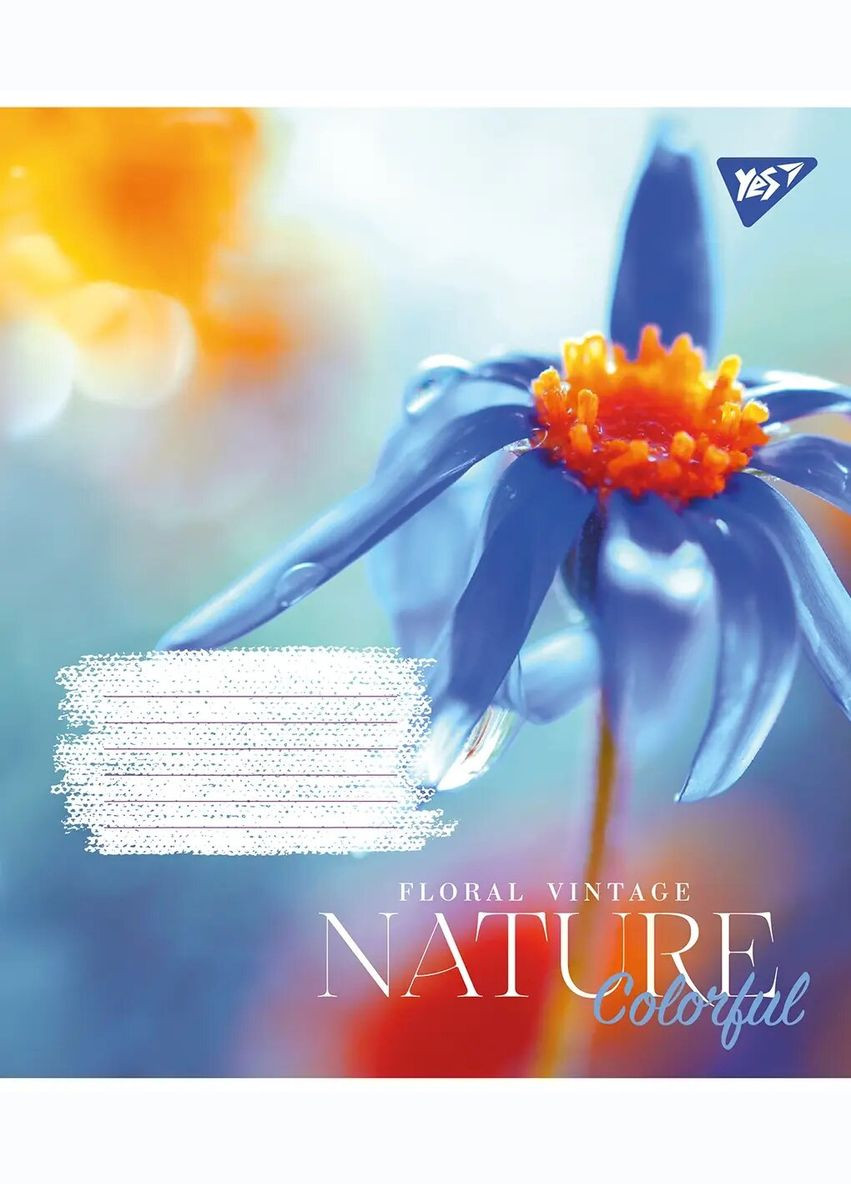 Тетрадь ученическая 766972 Разноцветная (4823092284006)(SC) shop (4823092284006) Yes (363300800)