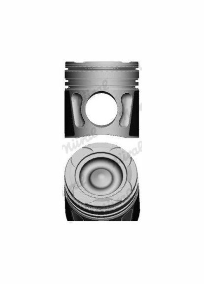 Поршень Nural (366300946)