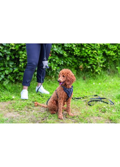 Шлея CityStyle H-harness для собак хлопок XS–S 30–44 см 10 мм (*) Trixie (322592452)