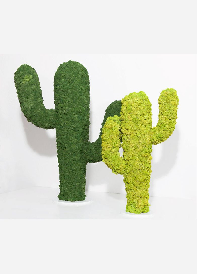 Стабилизированный мох ягель Зеленый весенний 150 грамм Nordic moss (276401220)