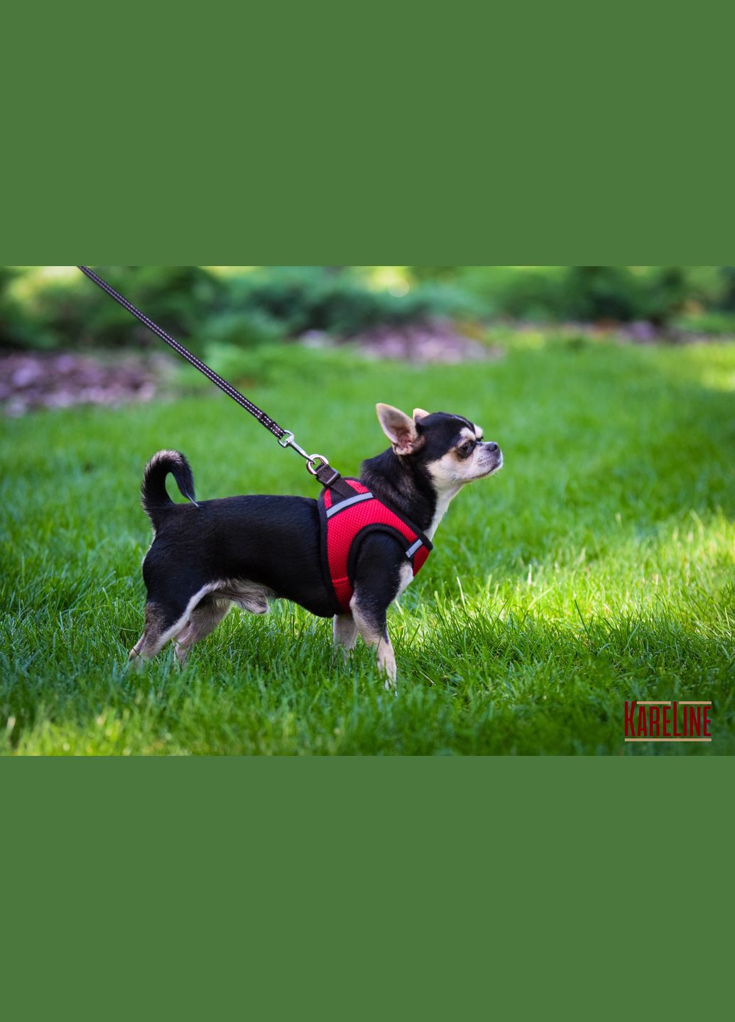 Шлей из сетчатого нейлона, с пластиковой пряжкой и светоотражающими элементами М 380-405 мм. Kareline (341319992)