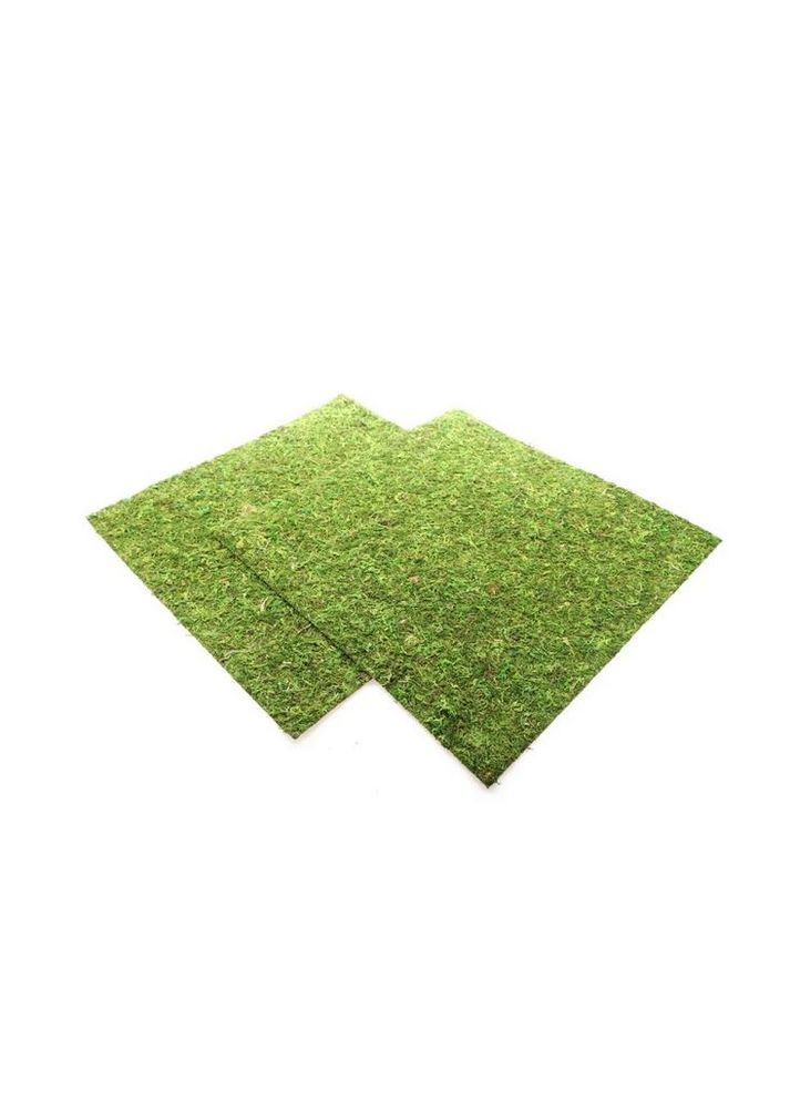 Фон моховый Natural Moss Back & Bottom 45x45см 2шт. (NCM4545) Repti-Zoo (363452791)
