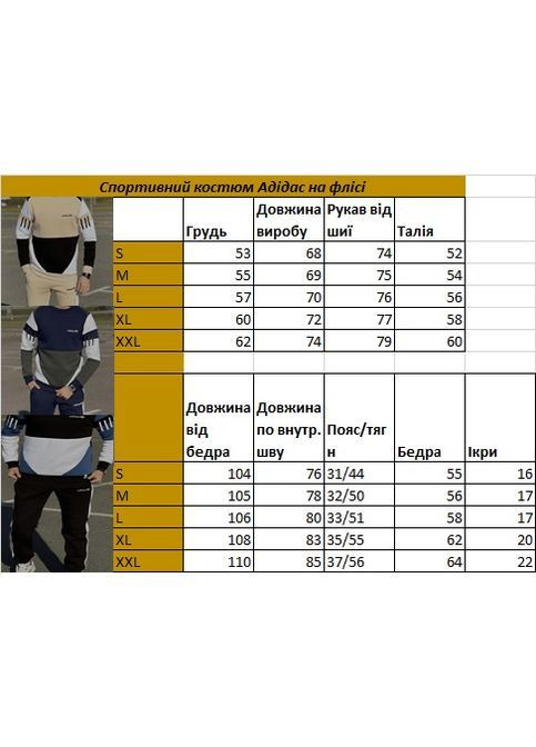 Спортивный костюм мужской на флисе теплый No Brand (371914967)