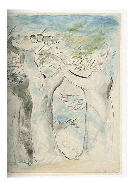 Книга William Blake. Dante’s ‘Divine Comedy’. The Complete Drawings (9783836568630) Taschen (364656204)