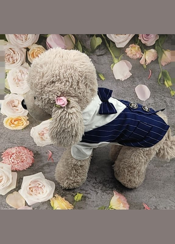 Костюм для котов и кошек Pet Style "Джентельмен" Синий M No Brand - (323231759)