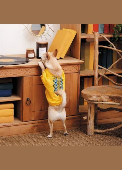 Футболка «Maria» для дівчаток, розмір, жовта (*) Pet Fashion (361408775)