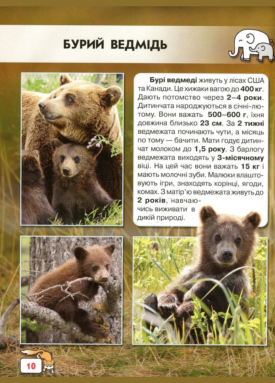 Мир вокруг нас. Малыши животных Кристал Бук (327879027)