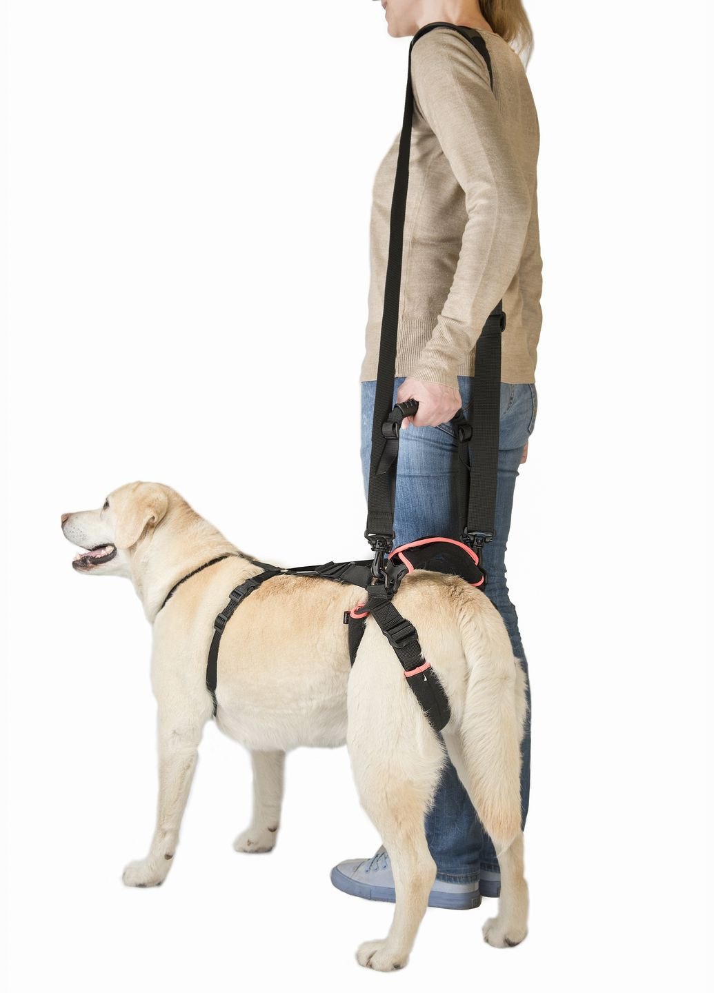 Поддержка для задних лап "кольцами" размер L Черный Frakishtak (304057586)