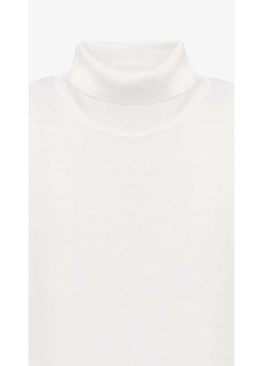 Гольф однотонний чоловічий PB002 shop (2000999289668) Demos (369151493)