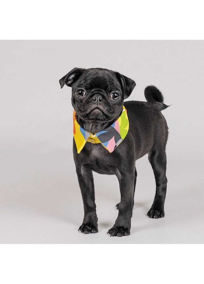 Комірець BRIGHT Pet Fashion (372504262)