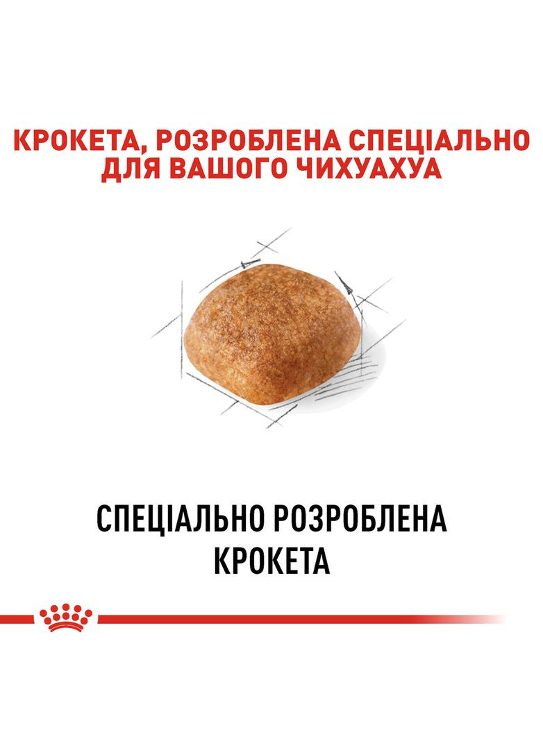 Сухий корм для дорослих собак чихуахуа Chihuahua Adult віком від 8 місяців і старше 1.5 кг (2210015) Royal Canin (317171201)