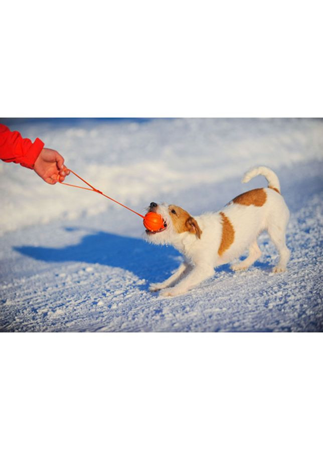 М'ячик ЛАЙКЕР5 Лайн (діаметр 5см) Liker (342414073)