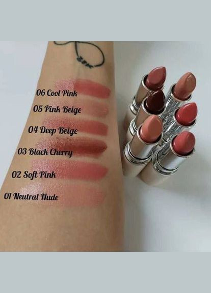 Глазированная губная помада ВВ Neutral Nude 01 4 г Farmasi (295287857)