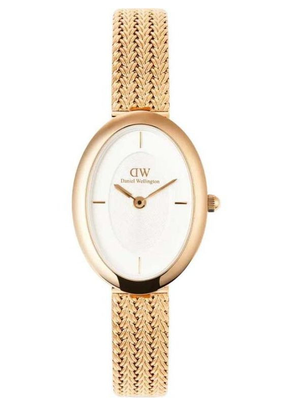 Женские наручные часы DW00100883 Daniel Wellington (366666013)