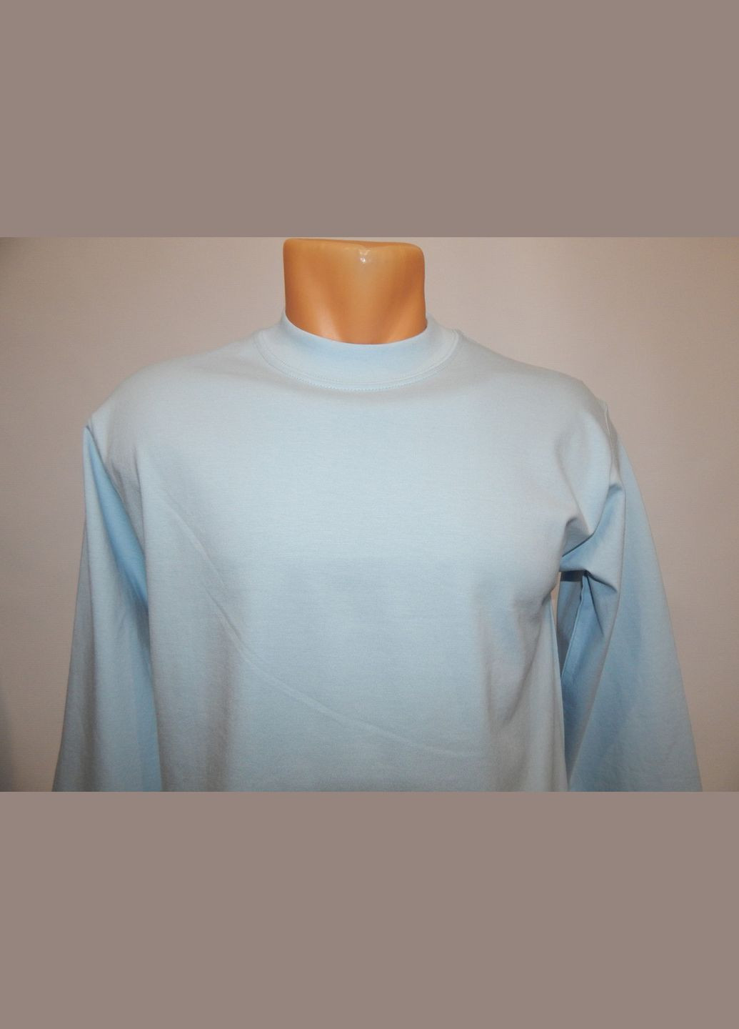 Голубая футболка мужская с длинным рукавом heavyt р.46 014fmdl (только в указанном размере, только 1 шт) Hanes