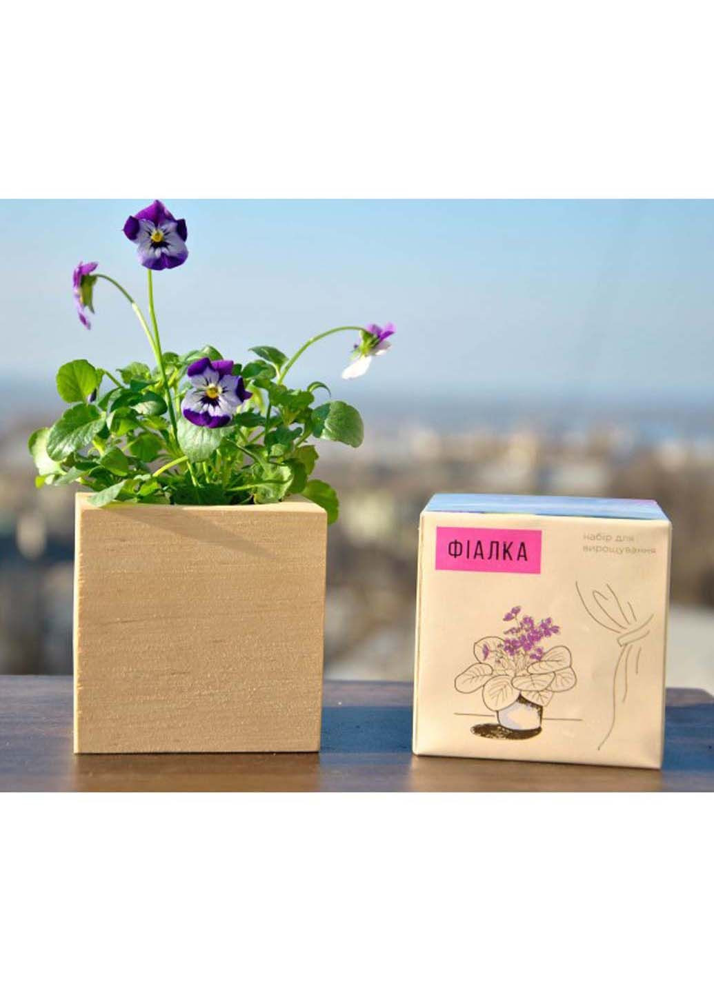 Екокуб фіалка набір для вирощування рослин Экокуб (295658327)