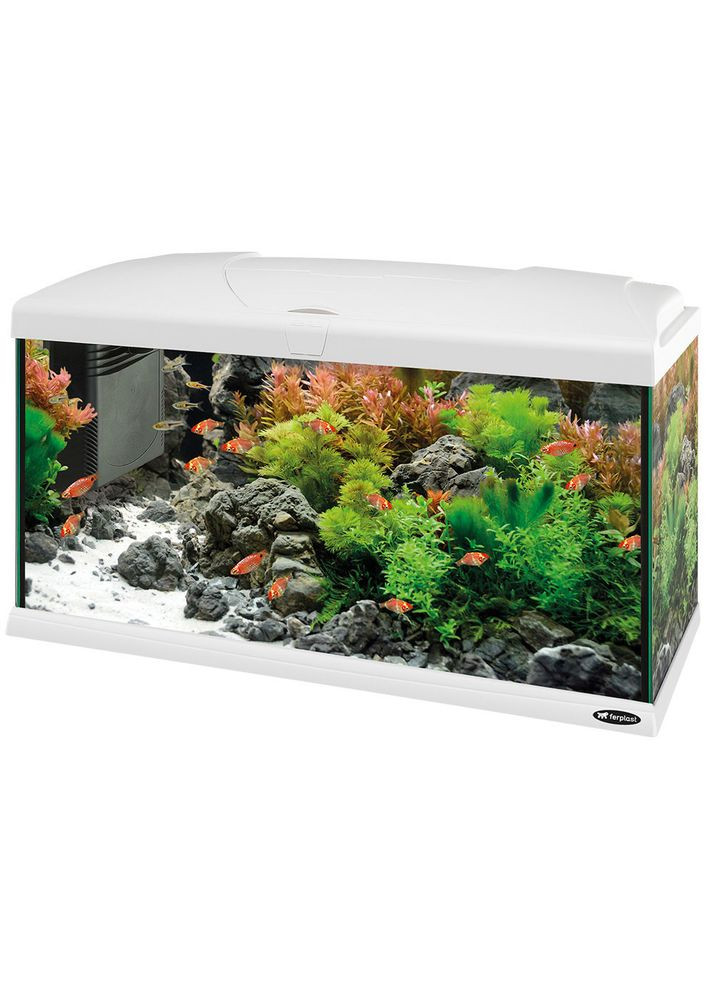 Скляний акваріум зі світлодіодною лампою на 100 літрів Capri 80 LED (Ферпласт Капрі 80 ЛЕД) Ferplast (297512067)