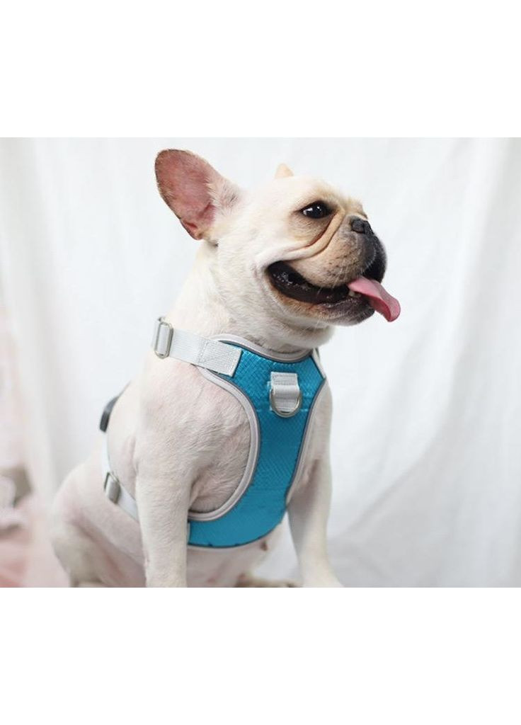 Шлея для собак Bororo Комфорт и контроль во время каждой прогулки No Brand (362571929)