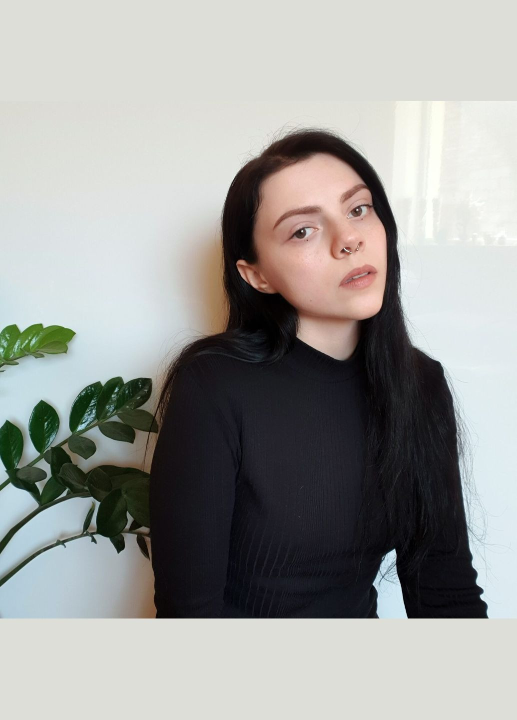 Сріблястий септум обманка на магніті кліпса в ніс стильний кежуал септум-обманка з різними кінцівками унісекс носове колечко No Brand (335063906)