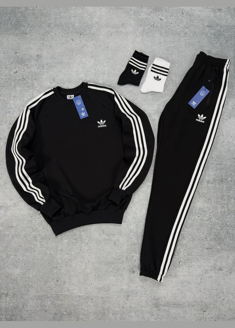 Костюм: світшот-штани-2 пари шкарпеток No Brand (325817868)