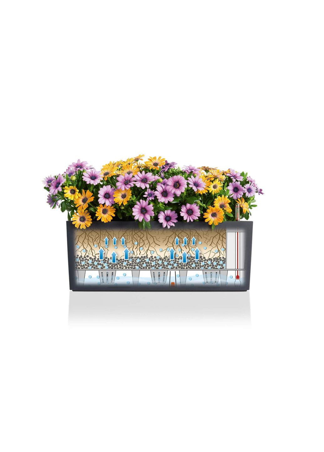 Вазон Balconera Cottage 50, графітовий чорний (A-013658) Lechuza (317268859)